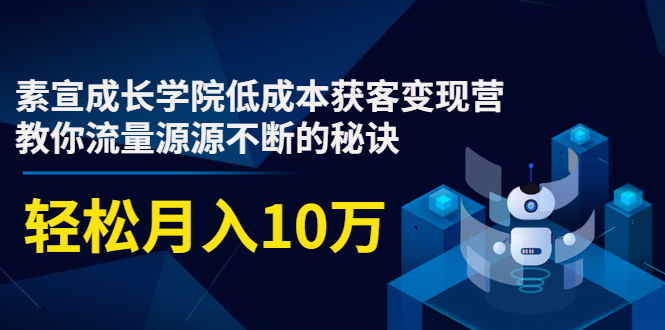 低成本获客变现营，教你流量源源不断的秘诀，轻松月入10万插图