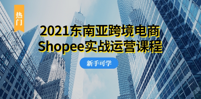 2021东南亚跨境电商Shopee实战运营课程，0基础、0经验、0投资的副业项目插图