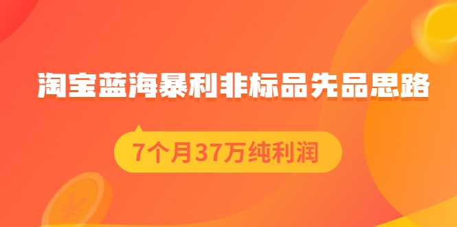 淘宝蓝海暴利非标品先品思路，7个月37万纯利润，压箱干货分享！【付费文章】插图