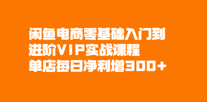 闲鱼电商零基础入门到进阶VIP实战课程，帮助你掌握闲鱼电商所需的各项技能插图