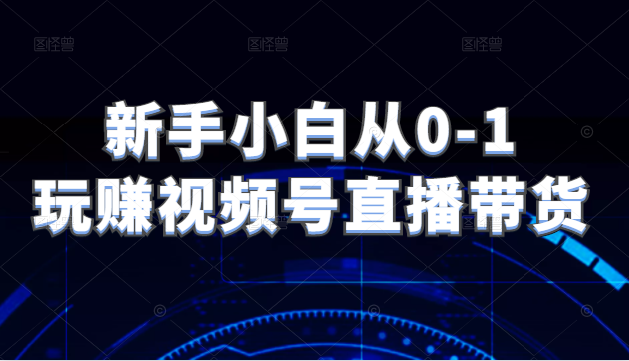 新手小白从0-1玩赚视频号直播带货，适用对视频号直播不熟悉，想要提升直播能力的朋友插图