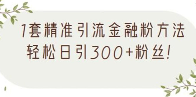 1套精准引流金融粉方法，轻松日引300+粉丝【视频课程】插图