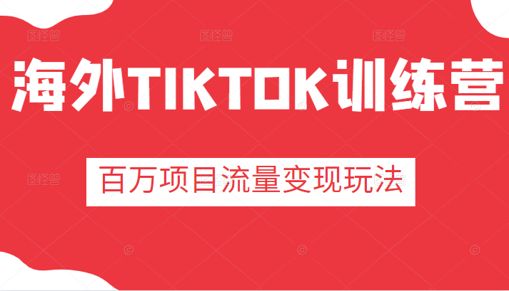 海外TIKTOK训练营，百万项目海外版抖音tiktok流量变现玩法插图