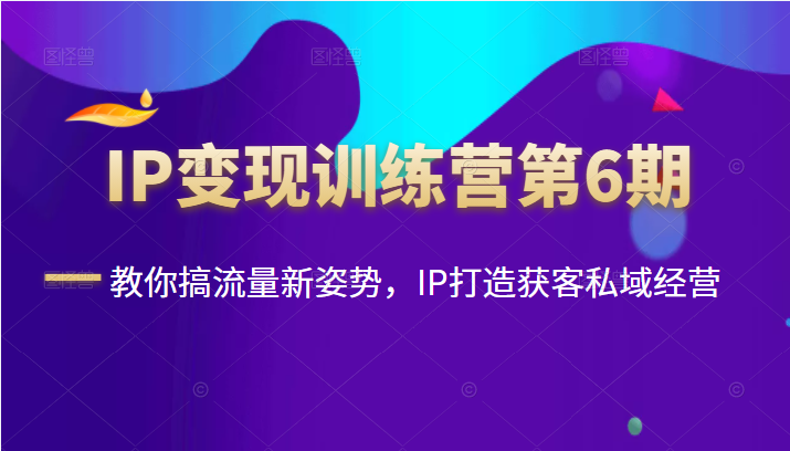 IP变现训练营第6期：教你搞流量新姿势，IP打造获客私域经营插图