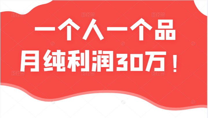 某公众号付费文章：一个人一个品月纯利润30万的蓝海电商经典案例！插图