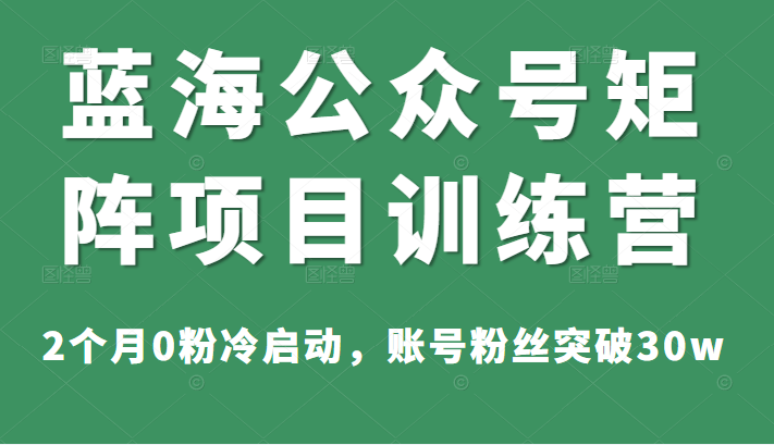 蓝海公众号矩阵项目训练营，2个月0粉冷启动，账号粉丝突破30w，价值1800元插图