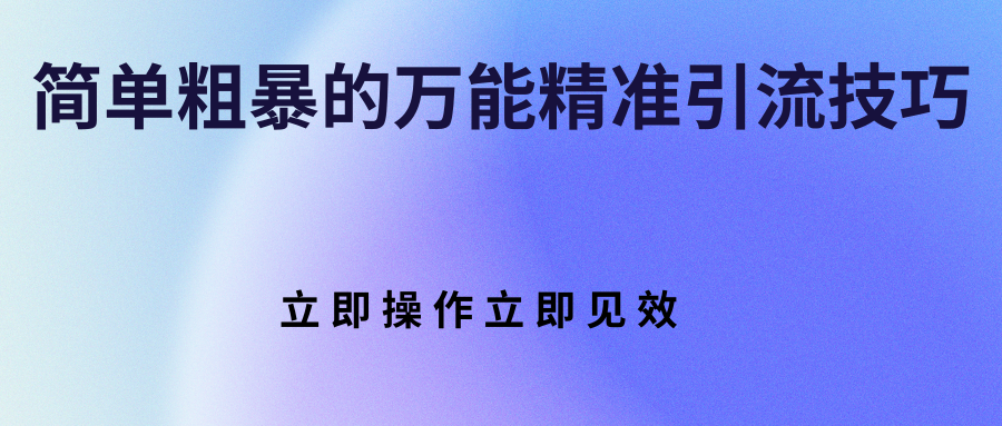 简单粗暴的万能精准引流技巧 立即操作立即见效插图