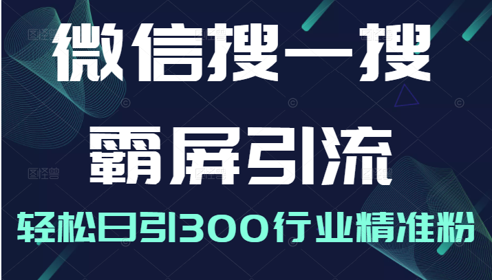 微信搜一搜霸屏引流课，打造被动精准引流系统，轻松日引300行业精准粉插图