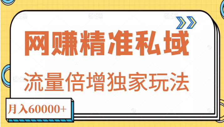 网赚精准私域月入60000+项目,流量倍增独家玩法插图