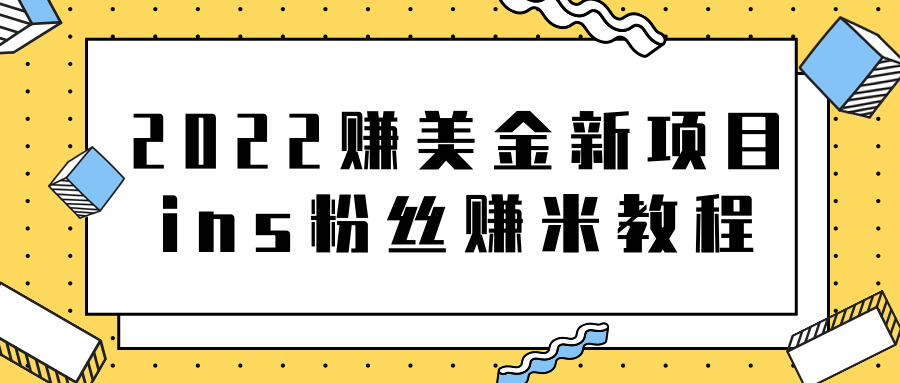 2022赚美金新项目，Instagram粉丝赚米项目【视频教程】插图