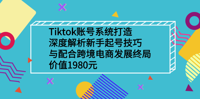 Tiktok账号系统打造，深度解析新手起号技巧与跨境电商发展终局价值1980元插图