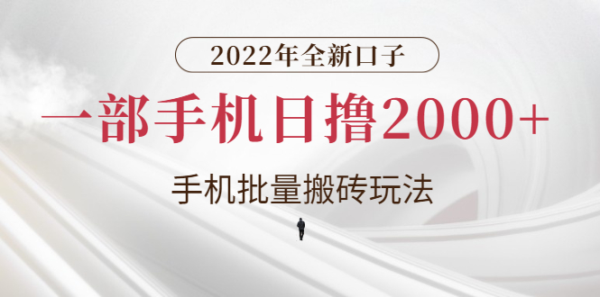 2022年全新口子，手机批量搬砖玩法，一部手机日撸2000+插图