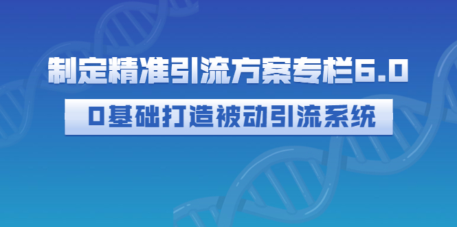 制定精准引流方案专栏6.0：0基础打造被动引流系统（价值1380元）插图