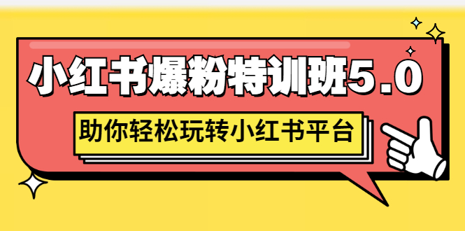 小红书爆粉特训班5.0，助你轻松玩转小红书平台价值1380元插图