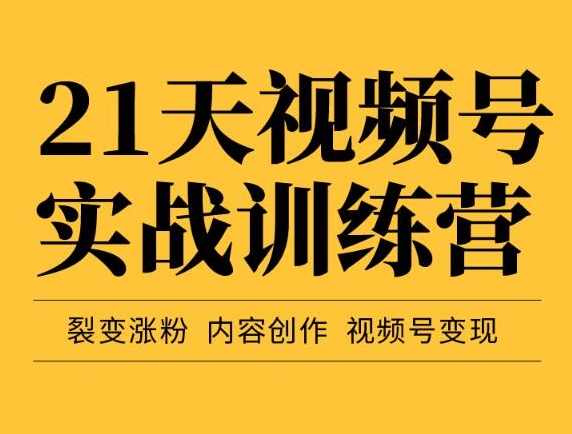 21天视频号实战训练营，裂变涨粉、内容创作、视频号变现（价值298元）插图