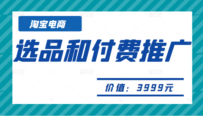 淘宝电商-选品和付费推广训练营（原价3999元）插图