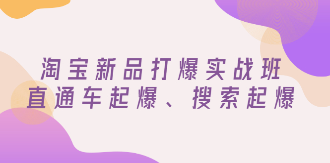 淘宝新品打爆实战班，直通车起爆、搜索起爆（价值599元）插图