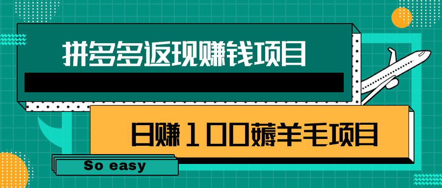 拼多多返现赚钱项目，简单操作轻松日赚100+薅羊毛项目【视频教程】插图