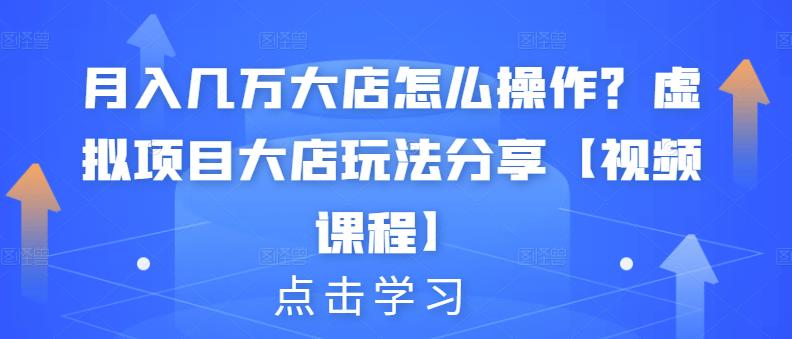 月入几万大店怎么操作？虚拟项目大店玩法分享！【视频教程】插图