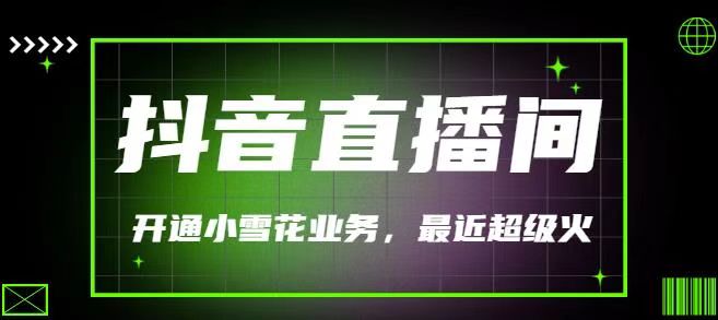 最近非常火的抖音直播间开通小雪花业务，利用信息差操作赚钱（价值288）插图