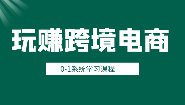 玩赚跨境电商之0基础课程，0-1系统学习课程（20节视频课）插图