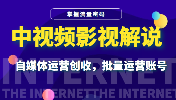 中视频影视解说—掌握流量密码，自媒体运营创收，批量运营账号插图