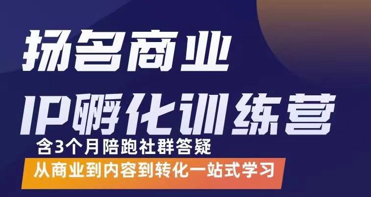 商业IP孵化训练营，从商业到内容到转化一站式学 价值5980元（无水印）插图