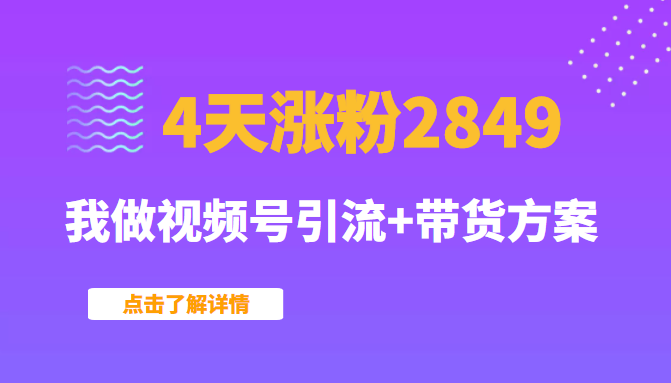 某公众号付费文章：4天涨粉2849，我做视频号引流+带货方案（无水印）插图