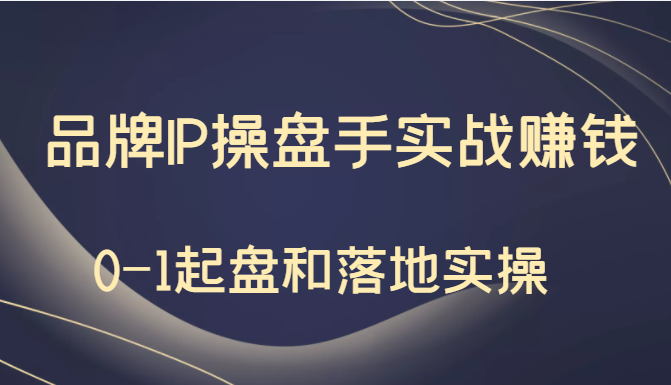 秒懂代运营：品牌IP操盘手实战赚钱，0-1起盘和落地实操（价值199元）插图