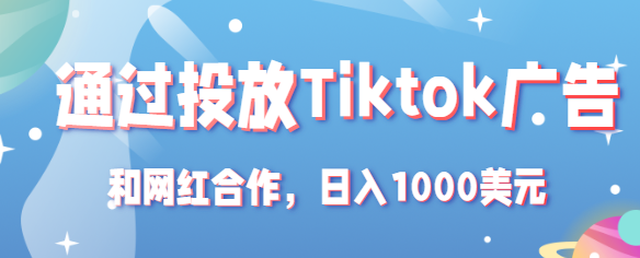 Tiktok赚钱项目：通过投放Tiktok广告，和网红合作，日入1000美元插图