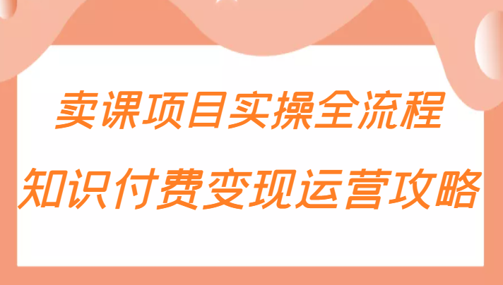 知识付费项目变现运营攻略，卖课项目实操全流程（价值299元）插图