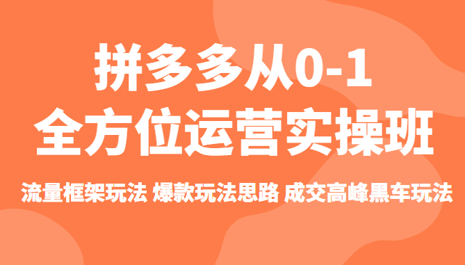 拼多多从0-1全方位运营实操班 流量框架玩法 爆款玩法思路 成交高峰黑车玩法插图