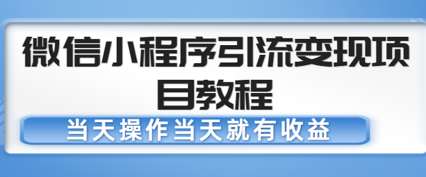 微信小程序引流变现项目教程，当天操作当天就有收益，变现不再是难事【无水印】插图