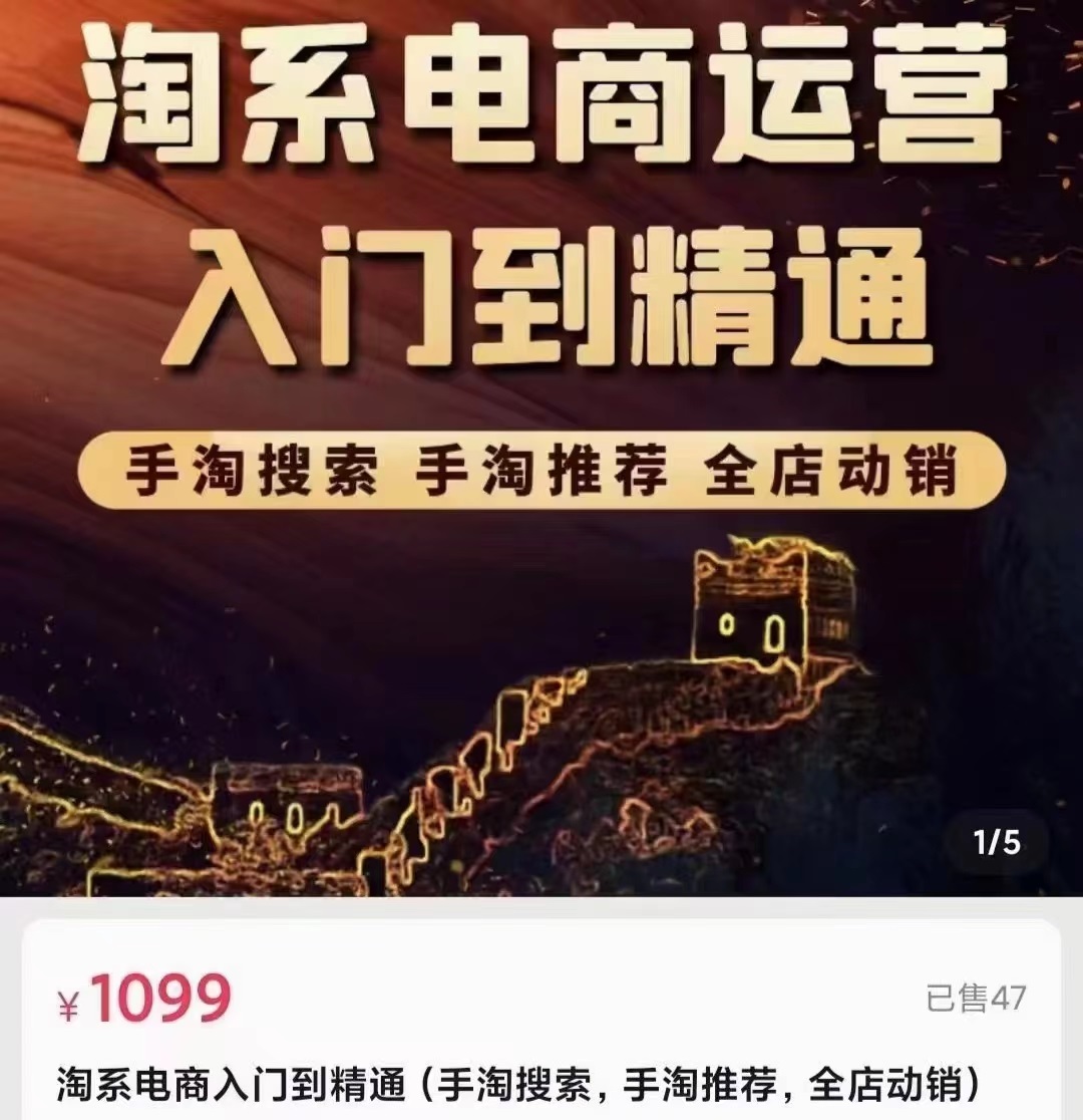 淘系电商入门到精通 手淘搜索，手淘推荐，全店动销 （价值1099元）插图