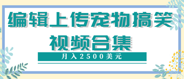 编辑上传宠物搞笑视频合集，就可以通过YouTube赚钱月入2500美元【视频教程】插图