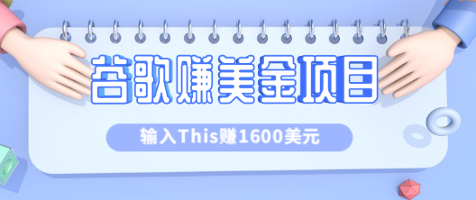 利用谷歌搜索特殊关键字赚钱项目，简单操作即可轻松赚1600+美元【视频教程】插图