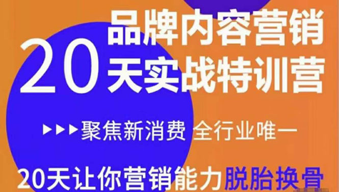 《内容营销实操特训营》20天让你营销能力脱胎换骨（价值3999）插图