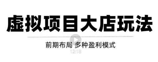 虚拟项目月入几万大店玩法分享，多店操作利润倍增（快速起店盈利）！【视频教程】插图