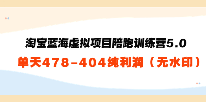 淘宝蓝海虚拟项目陪跑训练营5.0：单天478纯利润（无水印）插图