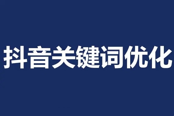 抖音搜索电商流量获取方法论，提升抖店电商运营和优化店铺的能力（价值588元）插图