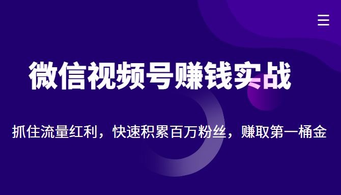 微信视频号赚钱实战：抓住流量红利，快速积累百万粉丝，赚取你的第一桶金插图