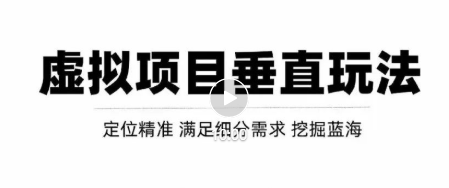 虚拟项目垂直细分类目玩法，新手快速起店，轻松月入上万！【视频教程】插图