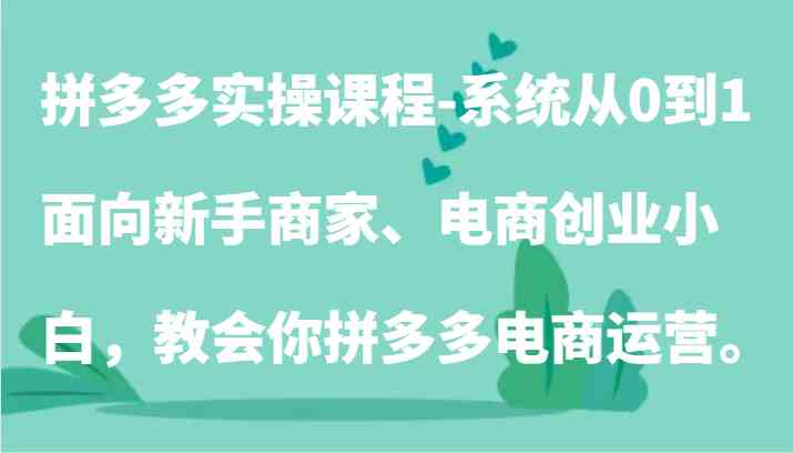 拼多多实操课程-系统从0到1，面向新手商家、电商创业小白，教会你拼多多电商运营。插图