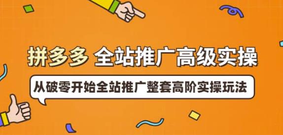 拼多多全站推广高级实操：从破零开始全站推广整套高阶实操玩法插图