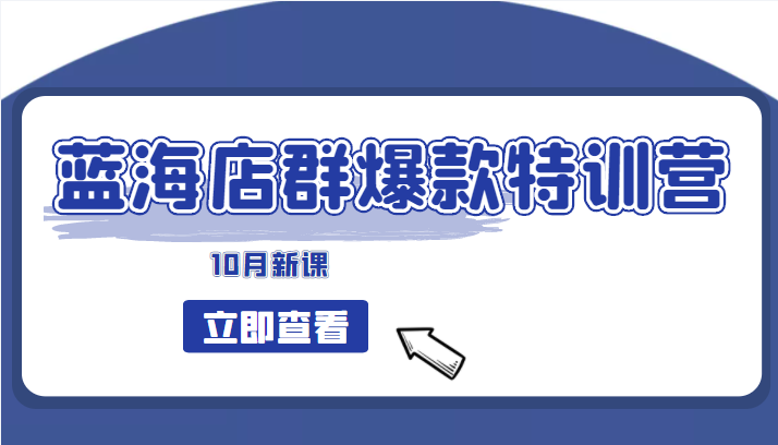 蓝海店群爆款特训营(10月新课) 低成本起店、小爆款打造、群爆款维护 精细化选品插图