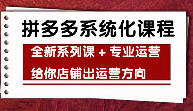 车神陪跑拼多多系统化课程，全新系列课+专业运营给你店铺出运营方向插图