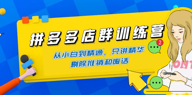 拼多多店群训练营：从小白到精通，只讲精华，剔除推销和废话插图