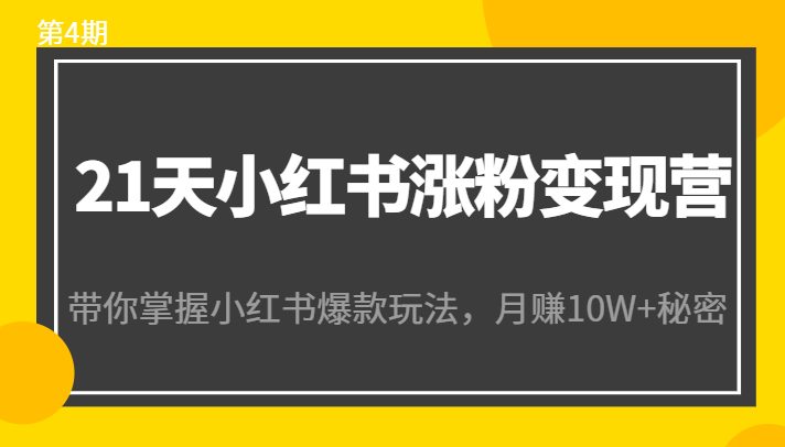 21天小红书涨粉变现营（第4期）：带你掌握小红书爆款玩法，月赚10W+秘密插图