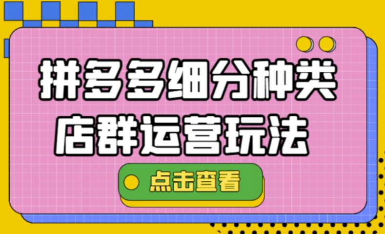 拼多多细分种类店群运营玩法3.0，11月最新玩法，小白也可以操作插图