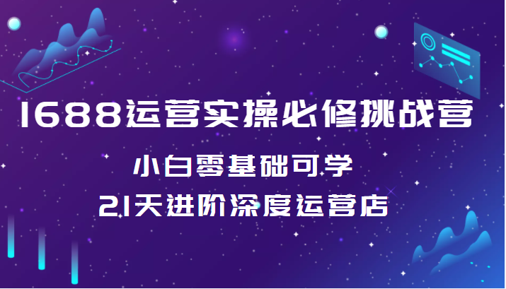 1688运营实操必修挑战营 小白零基础可学，21天进阶深度运营店（价值688元）插图